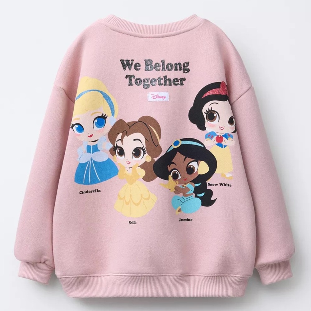 Zara Pink Disney Princess Sweater